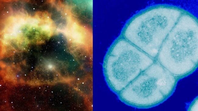 Новые доказательства панспермии – могла ли жизнь попасть на Землю из космоса? Фото.
