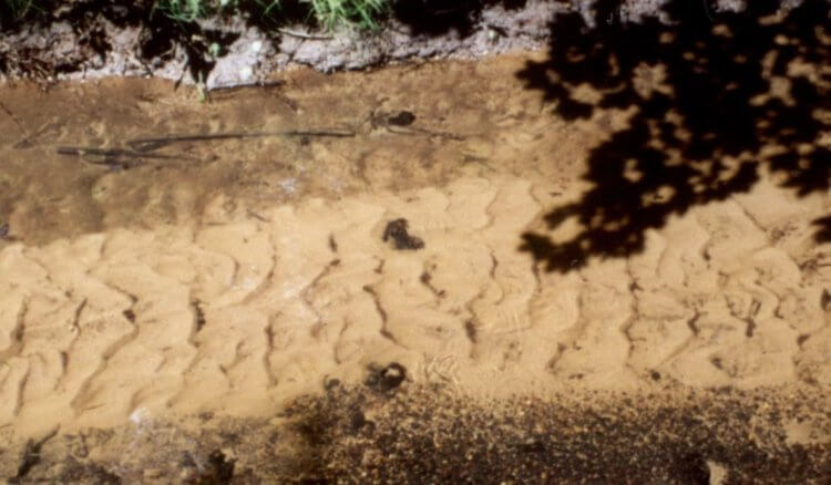 Древнее наводнение на Марсе. Русловая гряда на Земле. Фото.