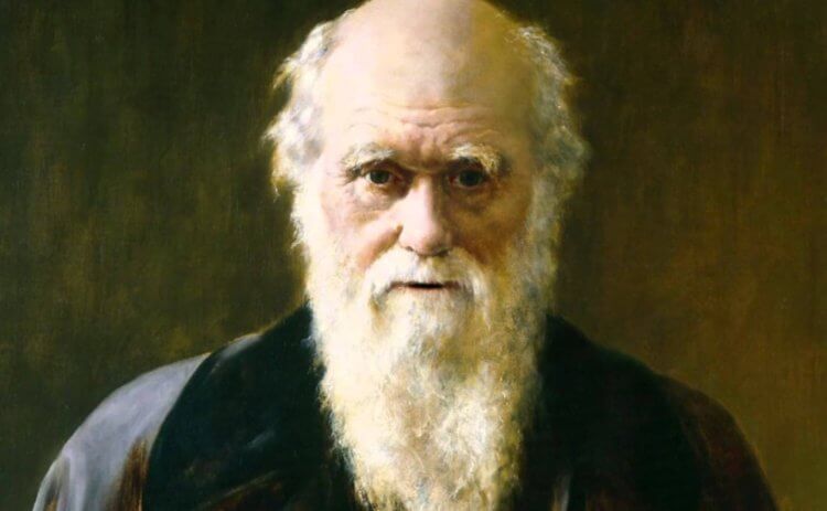 Исчезновение дневников Дарвина. За свою жизнь Дарвин отправил более 14,500 писем. Его собеседниками были около 2000 ученых со всего мира. Фото.