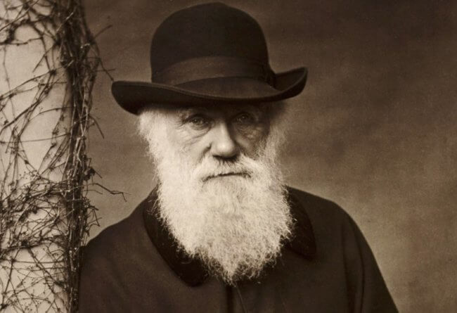 Что Чарлз Дарвин писал в своих записных книжках и где они хранятся? Фото.