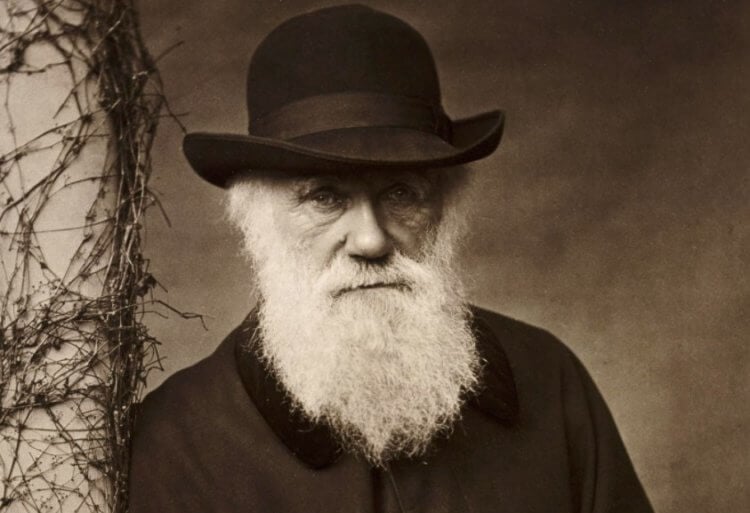 Что Чарлз Дарвин писал в своих записных книжках и где они хранятся? Английский натуралист Чарлз Дарвин. Фото.