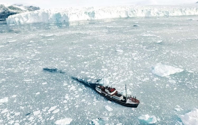 Подо льдом Гренландии нашли древнее озеро. Ледокол у берегов Гренландии. Фото.
