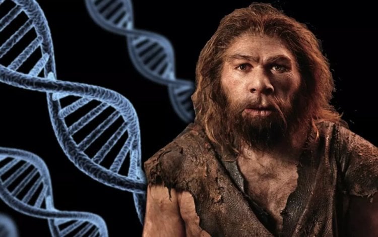 История войны. Генетически неандертальцы на 99,7% похожи на нас. Фото.