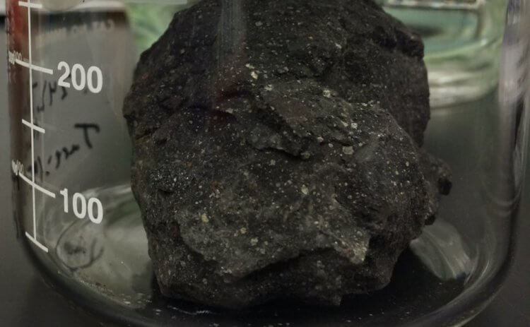 Метеориты и химия жизни. Фрагмент метеорита Мерчисона, одного из трех богатых углеродом метеоритов, отобранных в этом исследовании. Фото.