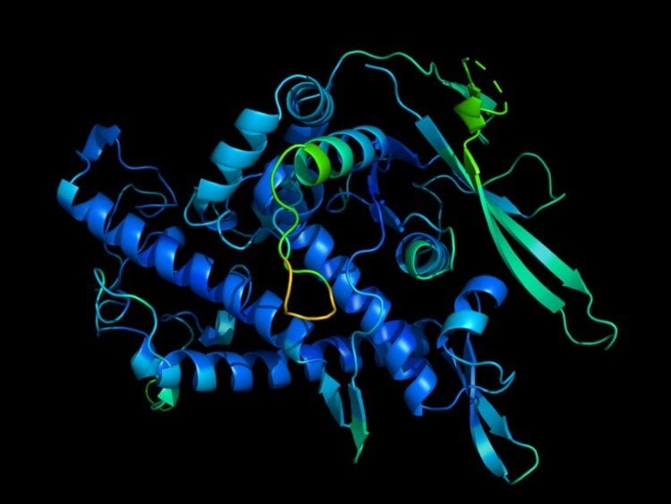 Важнейшее открытие за 50 лет: алгоритм DeepMind научили определять структуру белка. Эту структуру белка создал алгоритм на основе нейросети. Фото.