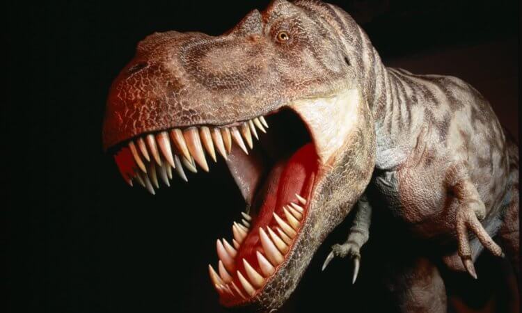 Почему динозавры — самые опасные животные в истории? Динозавры считаются одними из самых опасных созданий в истории, но почему? Фото.