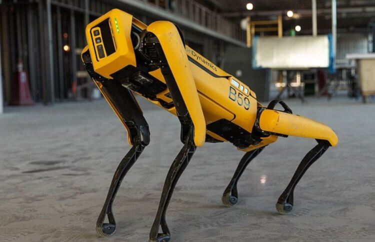 Hyundai купила производителя роботов Boston Dynamics. Что дальше? Робот Spot от Boston Dynamics. Фото.