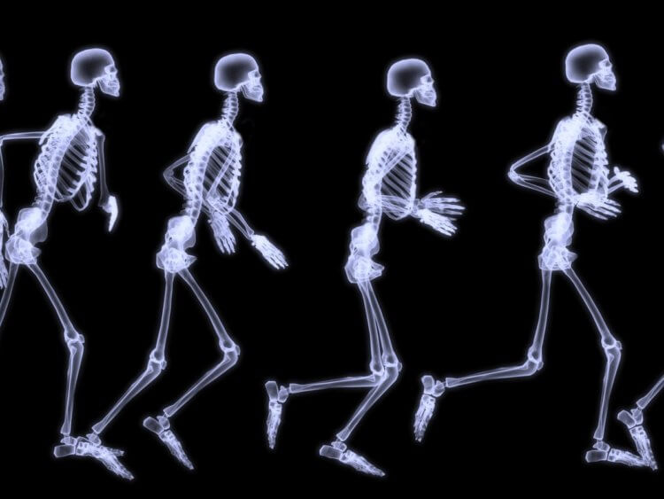 Наши уникальные кости. Физическая активность – залог здоровья. Фото.
