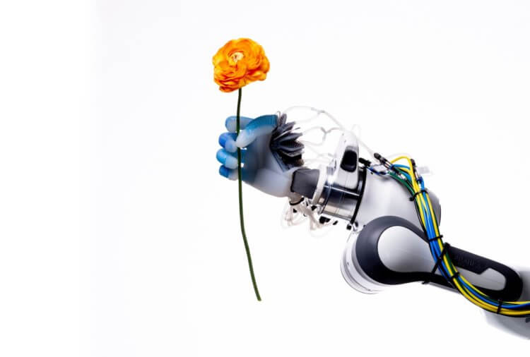 Лучшие научные фотографии 2020 года. Роботизированная рука в лаборатории робототехники и биологии Берлинского технического университета с помощью пневматических пальцев поднимает цветок с человеческой ловкостью. Настолько похожими на человека роботы не были, пожалуй, никогда. Фото.