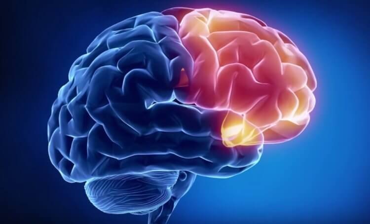 Почему укачивание усыпляет? Ученые до сих пор не знают, как «убаюкивание» влияет на мозг. Фото.