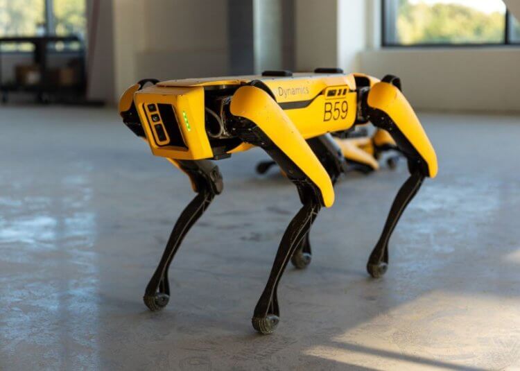 Роботы на Марсе. Обычная версия робота Spot от Boston Dynamics. Фото.