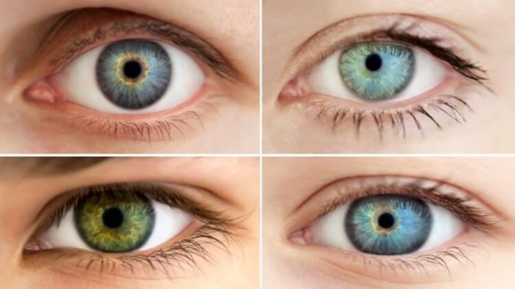 Несовершенные гены. Глаза и их цвет – венец эволюции Homo Sapiens. Фото.