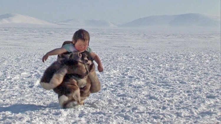 Как чукчи выживают на холоде? Чукотские дети не боятся холода так же, как и взрослые. Фото.