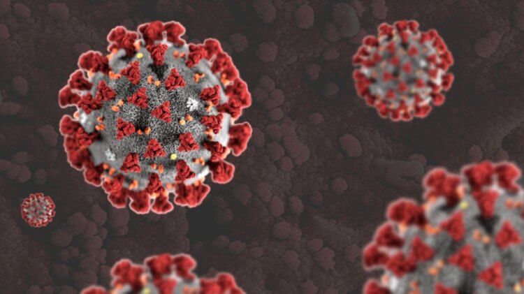 Повышенная заразность коронавируса. Помимо B.1.1.7, ученых также настораживает штамм B.1.351, который был обнаружен в Южной Африке. Но о нем пока мало что известно. Фото.