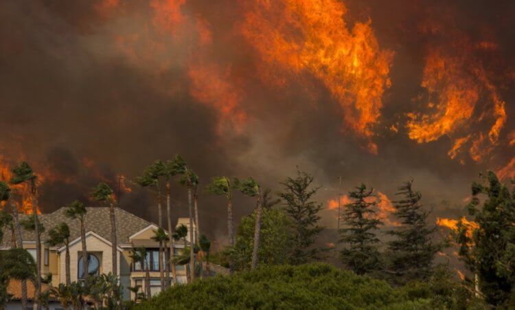 Почему меняется скорость вращения Земли? Пожары в Калифорнии действительно выглядели как конец света. Фото.