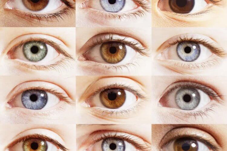 Почему глаза разного цвета и какой цвет самый редкий? Самым редким цветом глаз на планете является зеленый. Фото.
