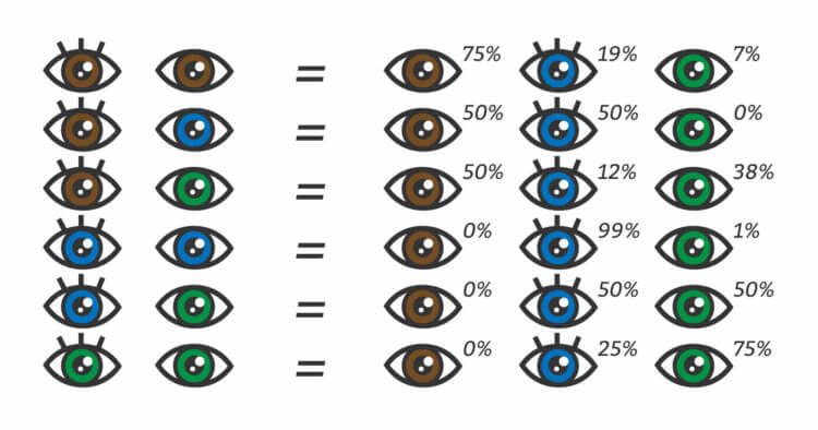 Почему глаза разного цвета? Таблица, по которой можно предсказать цвет глаза будущего ребенка. Фото.