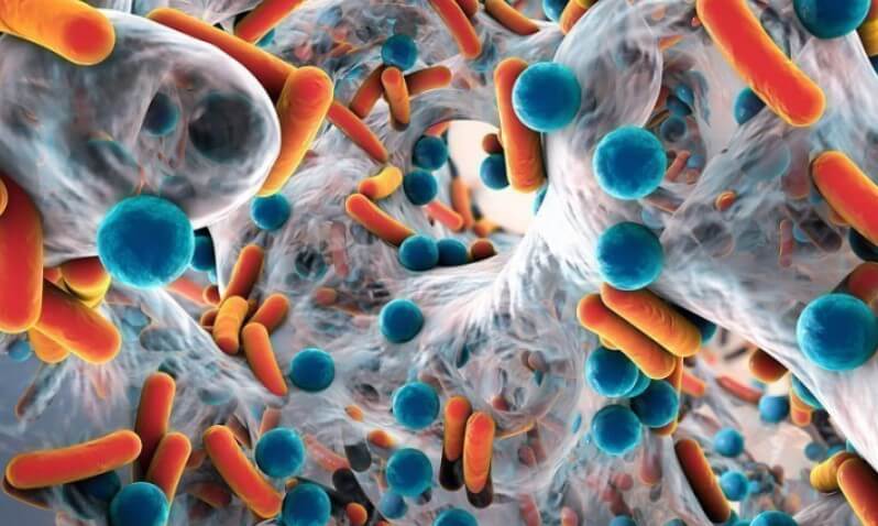 kid pills image three <p>Антибиотики - это препараты, которые предназначены для лечения бактериальных инфекций. Если говорить в общих чертах, они уничтожают микроорганизмы и тем самым останавливают их размножение. При этом они воздействуют не только на болезнетворные бактерии - под удар попадают и полезные для человеческого организма микробы. Врачи стараются прописывать пациентам антибиотики только в крайнем случае, потому что бактерии быстро учатся им противостоять и в будущем препараты могут потерять эффективность. Но иногда антибиотики даются маленьким детям, почти сразу же после рождения. Препараты прописываются в случаях, когда у малышей наблюдаются признаки бактериальной инфекции. Иногда они применяются для профилактики сепсиса. Недавно международная группа ученых решила выяснить, как антибиотики влияют на организмы маленьких детей. Оказалось, что препараты замедляют рост, причем негативный эффект замечен только у мальчиков.