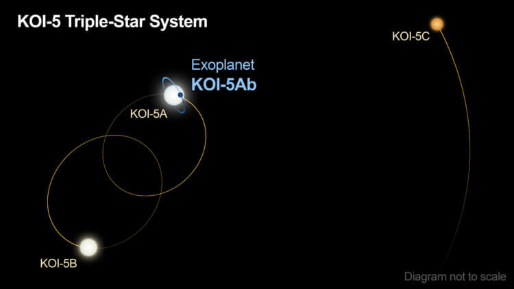 Планета и три солнца. Звездная система KOI-5 состоит из трех звезд, обозначенных на этой диаграмме как A, B и C. Звезды А и В обращаются вокруг друг друга каждые 30 лет. Звезда С обращается вокруг звезд А и В каждые 400 лет. В системе находится одна планета – KOI-5Ab, масса которой составляет примерно половину массы Сатурна и которая обращается вокруг звезды А примерно каждые пять дней. При этом астрономы подозревают, что причиной смещения орбиты экзопланеты – звезда В, которая гравитационно ударила планету во время ее развития, искривив орбиту и заставив ее мигрировать вглубь системы. Фото.