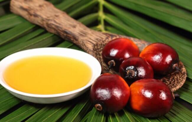 Что такое пальмовое масло? Фото.