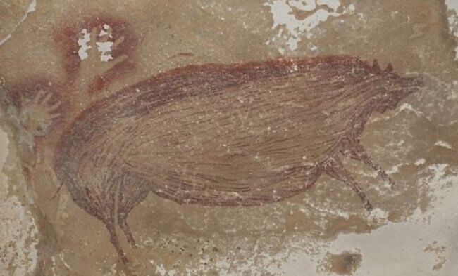 В Индонезии найден самый древний рисунок с животными. Ему 45 500 лет. Фото.