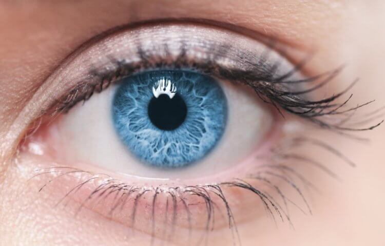 Восстановление сетчатки глаз. Возможно, в будущем люди смогут восстанавливать зрение. Фото.