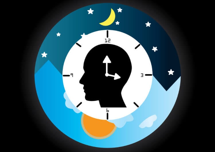 Что такое циркадные ритмы? Настраиваем свои внутренние часы. От биологических часов зависит не только то, как вы спите. Фото.