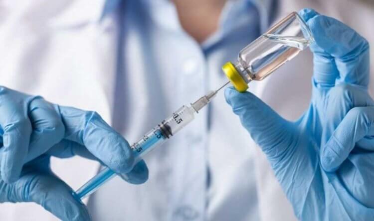 Вакцины для кошек и собак. Сообщается, что российская вакцина от коронавируса для животных будет готова к концу 2021 года. Фото.