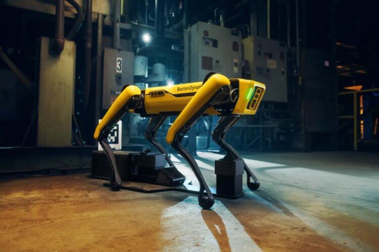 Boston Dynamics обновила робота Spot. Что он теперь умеет? Новая версия робота Spot не отличается внешне от предшественника, но обладает новыми функциями. Фото.