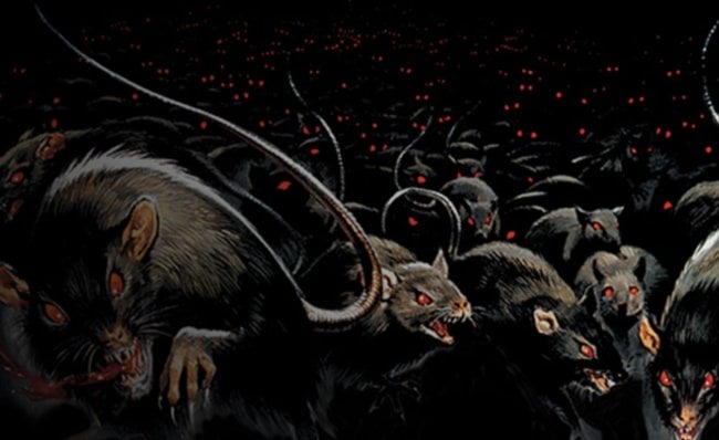 Зачем в Австралии уничтожили 350 000 крыс и мышей? Фото.