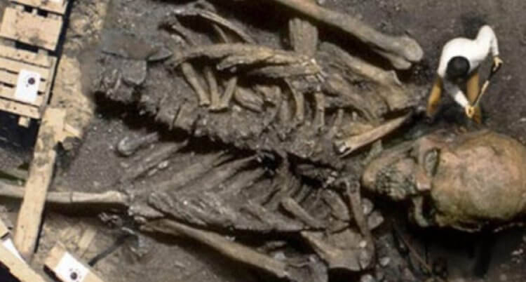 Рост древних людей. Фотография, где археолог якобы раскапывает скелет древнего гиганта. Фото.