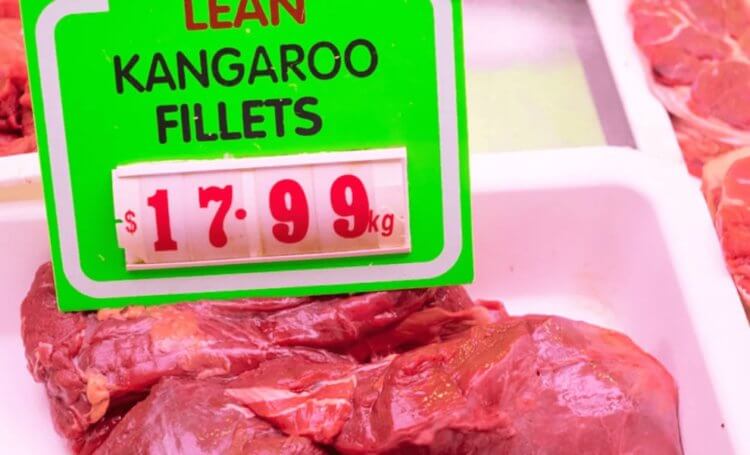 Сколько кенгуру в Австралии? В магазинах некоторых стран можно купить мясо кенгуру. Фото.