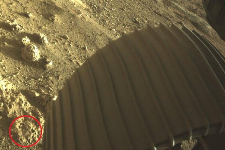 Фотографии Марса от Perseverance. Судя по всему, речь идет об этих и им подобных отверстиях. Фото.