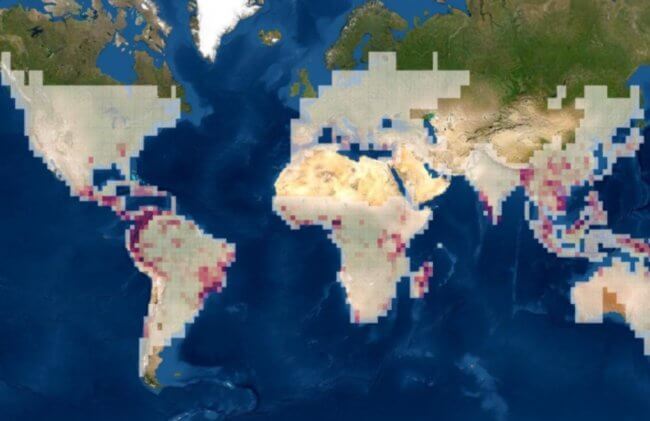 В каких частях Земли живут неизвестные науке животные? Смотрите на этой карте. Фото.