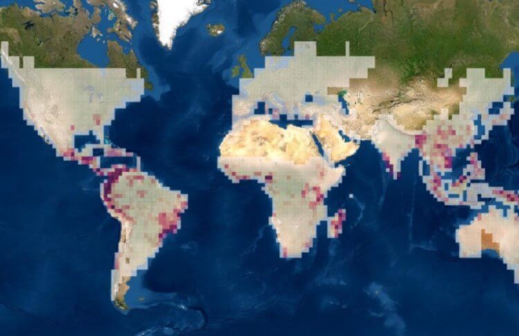 В каких частях Земли живут неизвестные науке животные? Смотрите на этой карте. Где нужно искать новые виды животных? Показано на этой карте. Фото.