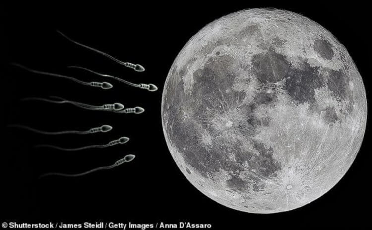 Как Луна спасет планету? Сколько времени займет отправка генетических материалов на Луну — никому неизвестно. Фото.