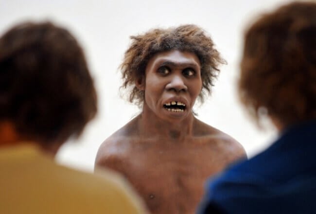 Насколько хорошо разговаривали неандертальцы? Фото.