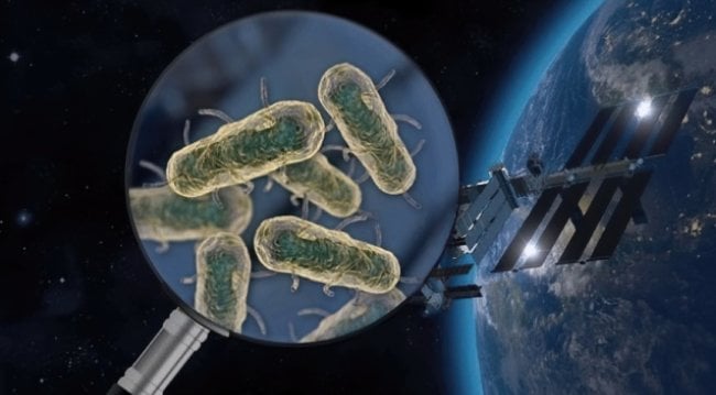На МКС найдены неизвестные науке микробы. Они опасны? Фото.