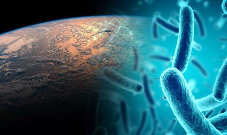 Бактерии в космосе. Бактерии — еще одна опасность для человека, помимо космической радиации. Фото.