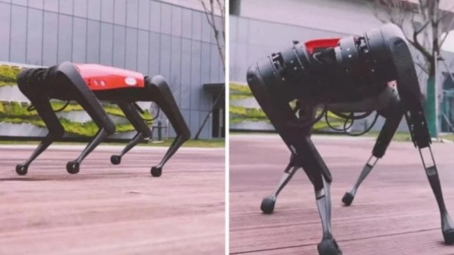 Китайская копия робота-собаки Boston Dynamics стоит в 30 раз дешевле. В чем подвох? Фото.