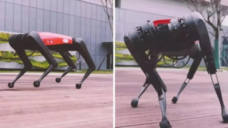 Китайская копия робота-собаки Boston Dynamics стоит в 30 раз дешевле. В чем подвох?