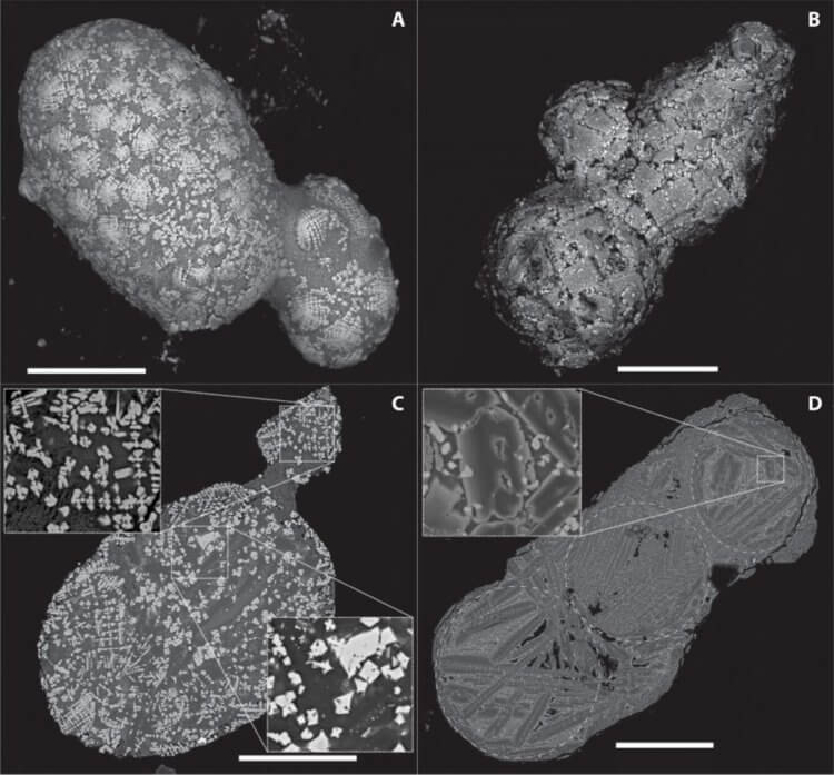 Зачем нужно изучать метеориты? Структура фрагментов антарктического метеорита. Фото.