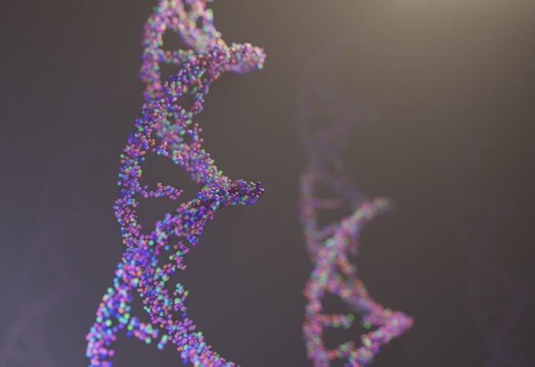 ДНК и РНК. Строительный кирпичик жизни – молекула ДНК – выглядит так. Фото.