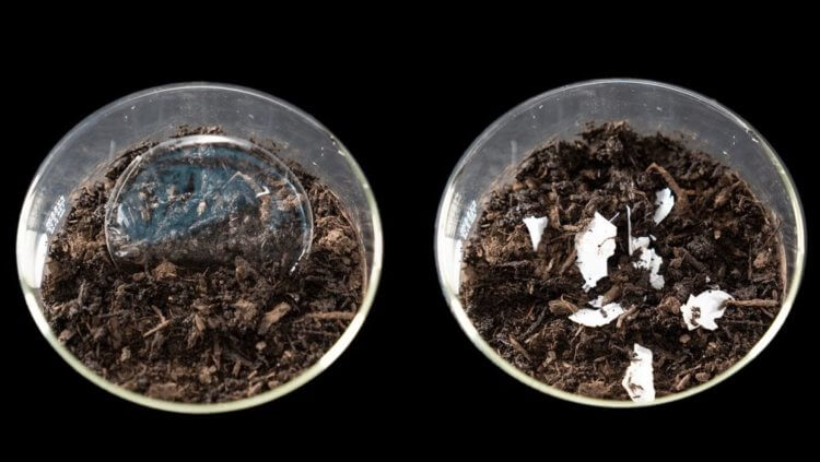 Самый безопасный пластик. Разложение нового вида пластика: до и после. Фото.
