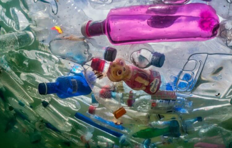 Сколько лет разлагается пластик