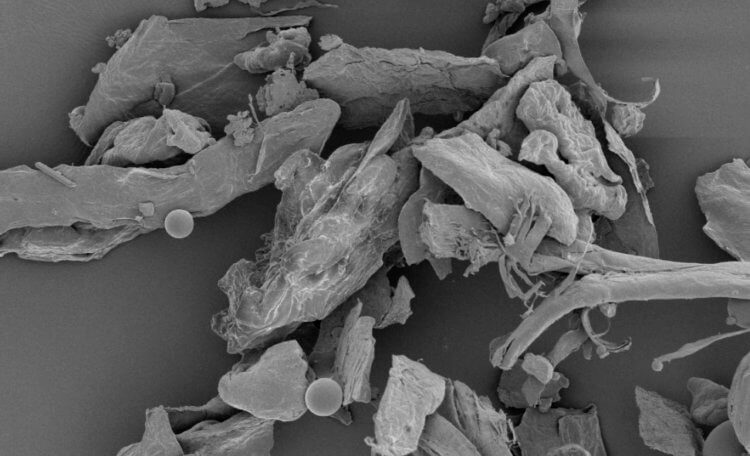 Сколько космической пыли на Земле? Обычная пыль под микроскопом. Фото.