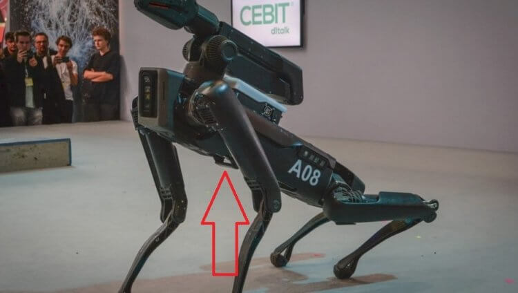 Как защититься от робота? Если дернуть за эту ручку, робот Spot выключится из-за извлечения аккумулятора. Фото.