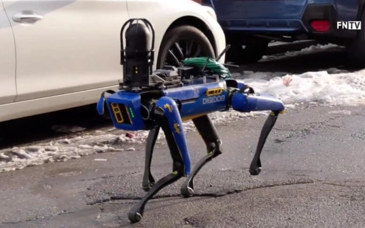 Как обезвредить робота-собаку Spot, если он на вас напал? Робот-полицейский DigiDog, основанный на роботе Spot от Boston Dynamics. Фото.