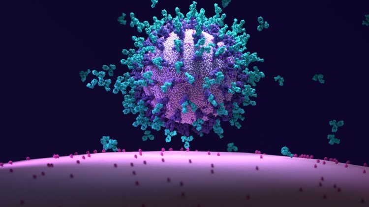 Вакцина против вируса Зика. Шиповидный белок коронавируса позволяет вирусу «взламывать» клетки и проникать внутрь. Фото.