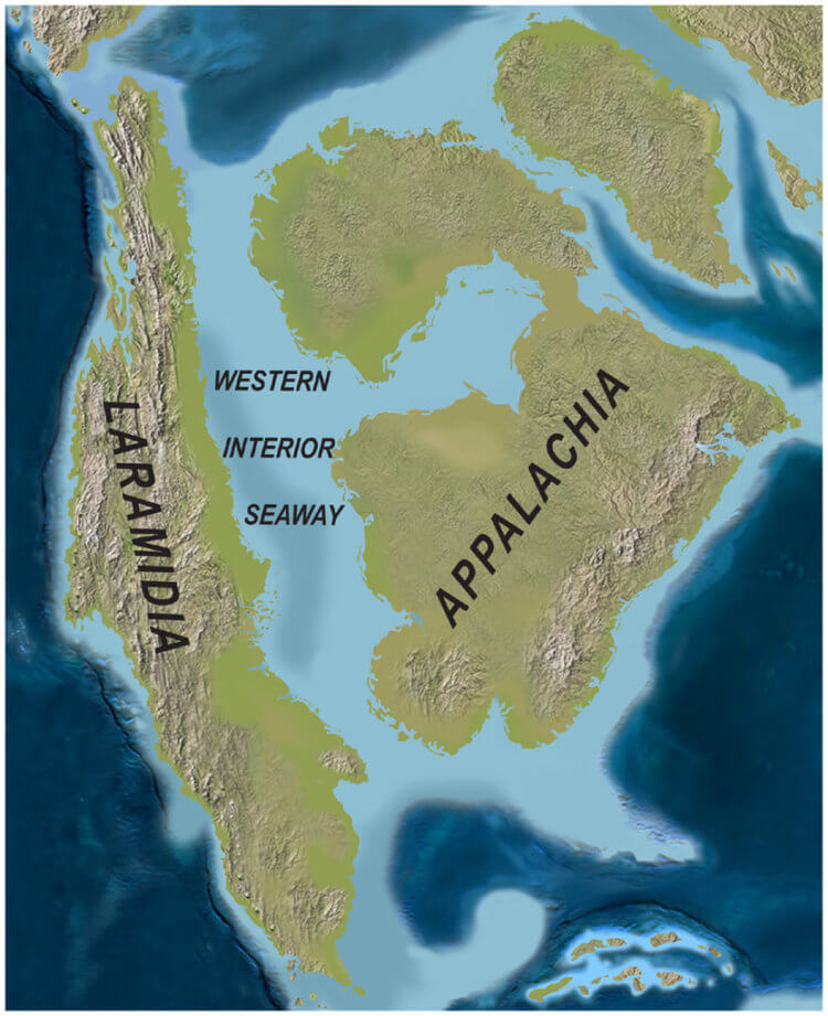 Количество тираннозавров на Земле. Остров Ларамидия на карте. Фото.